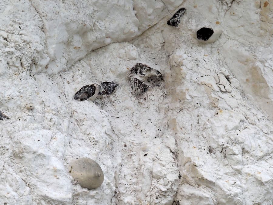 rocca strana, aiuto id