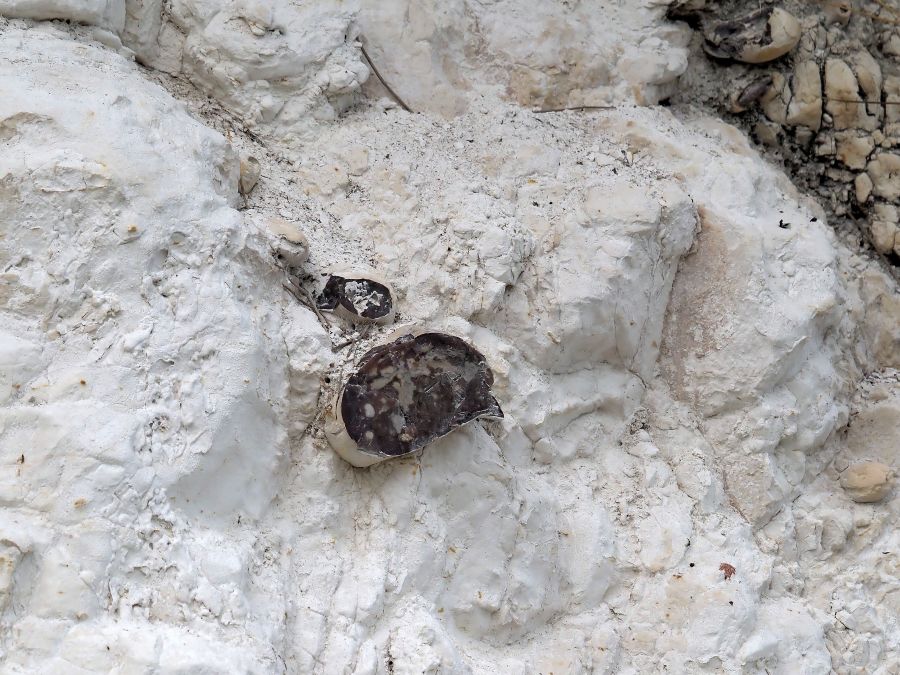 rocca strana, aiuto id