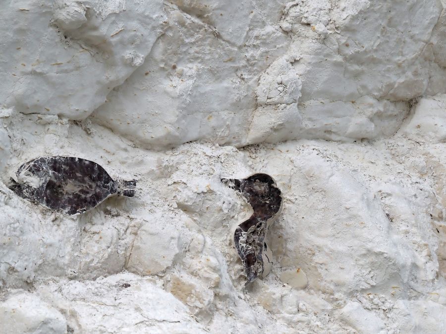 rocca strana, aiuto id