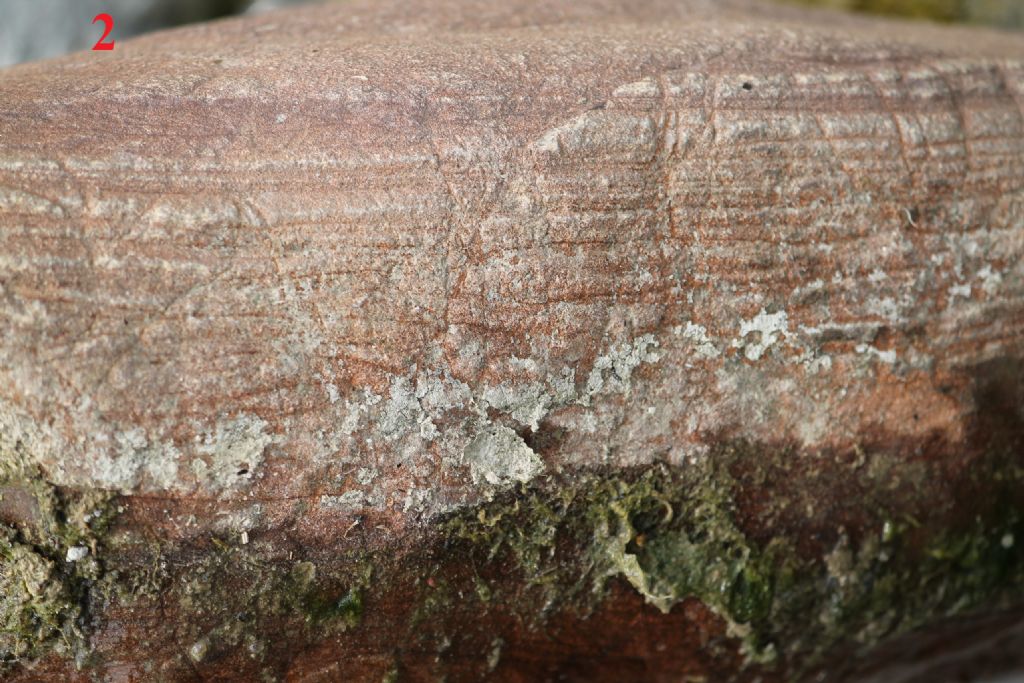 rocce dalla piana del Neto (Kr)