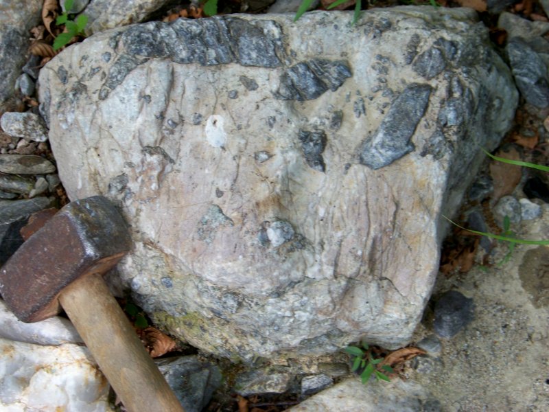 Fossili? No, fenoscristalli in scisto