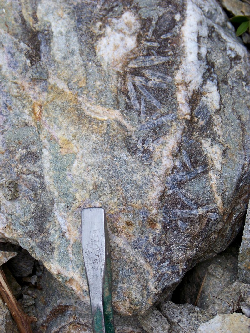 Fossili? No, fenoscristalli in scisto