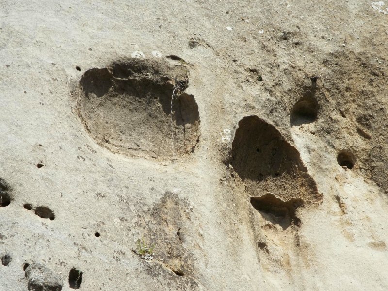 Strane cavit� nell''arenaria