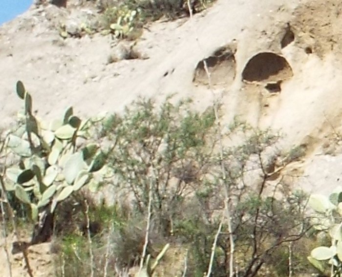 Strane cavit� nell''arenaria