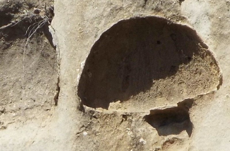 Strane cavit� nell''arenaria