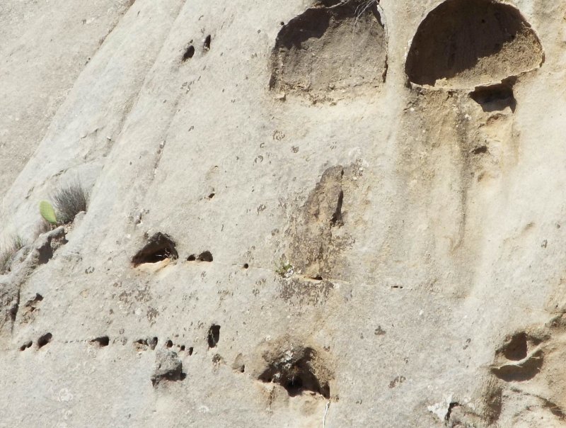 Strane cavit� nell''arenaria