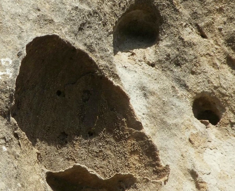 Strane cavit� nell''arenaria