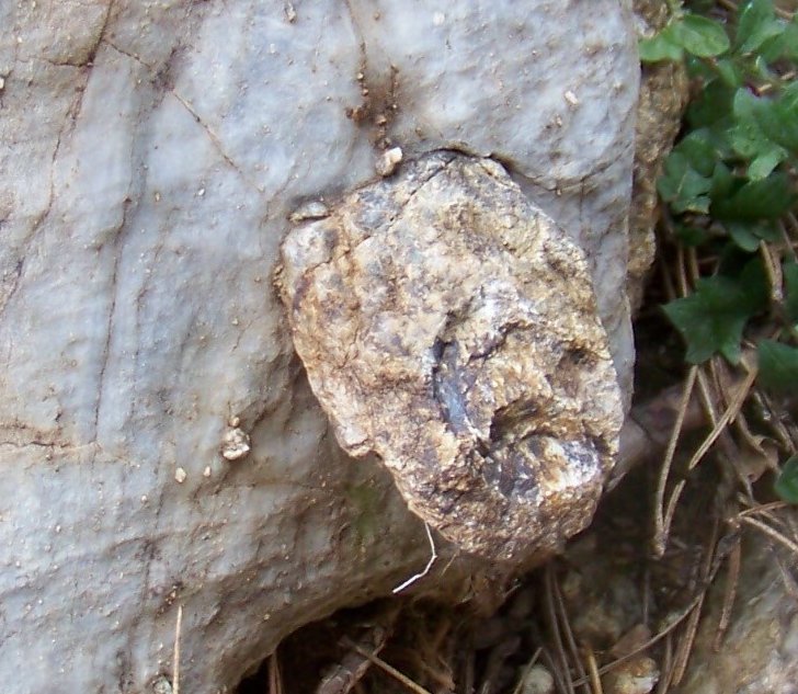 Tessitura fluidale e calcare cristallino