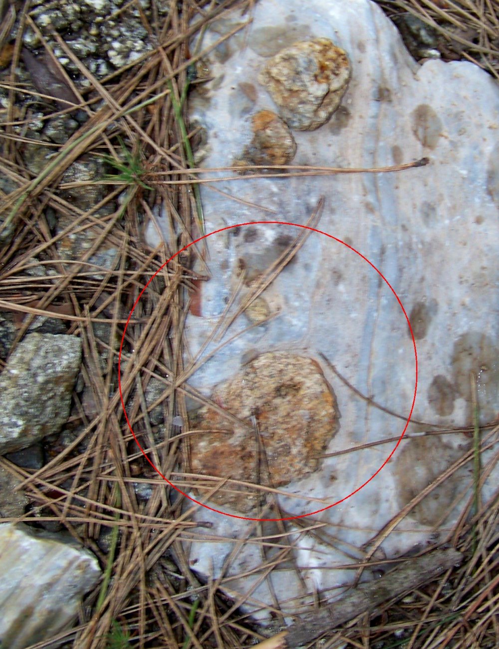 Tessitura fluidale e calcare cristallino