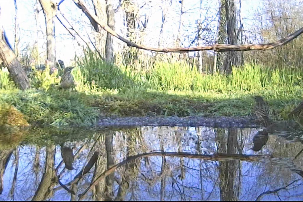 Soggetti sconosciuti