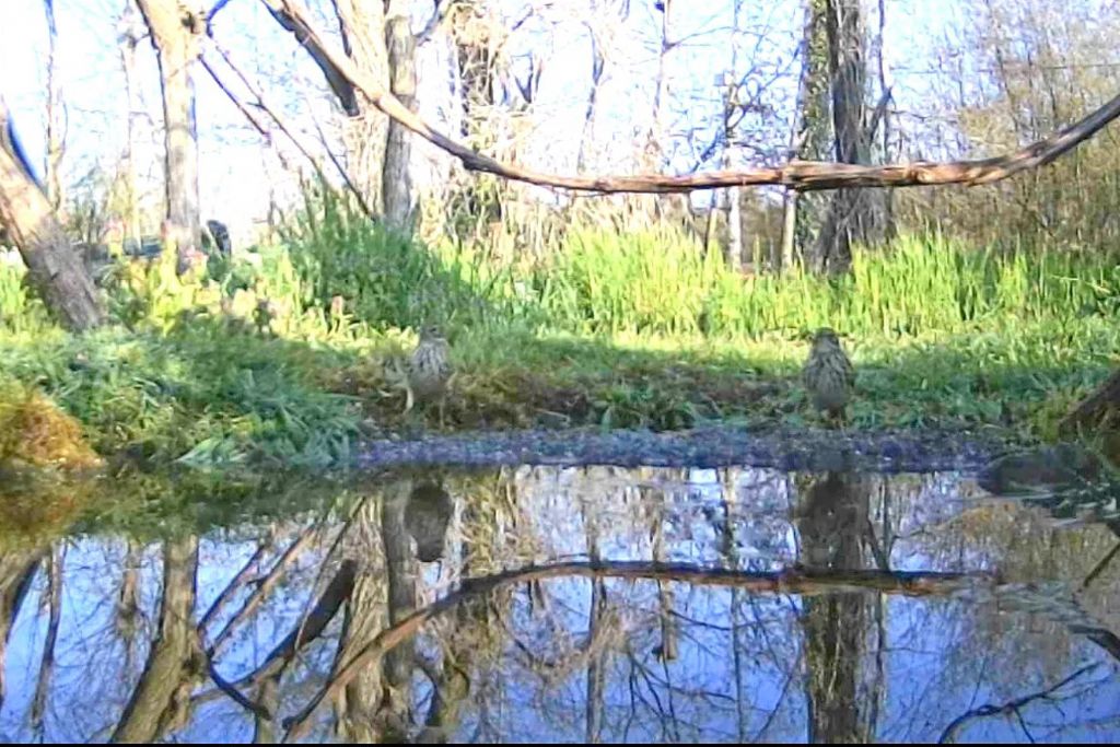 Soggetti sconosciuti