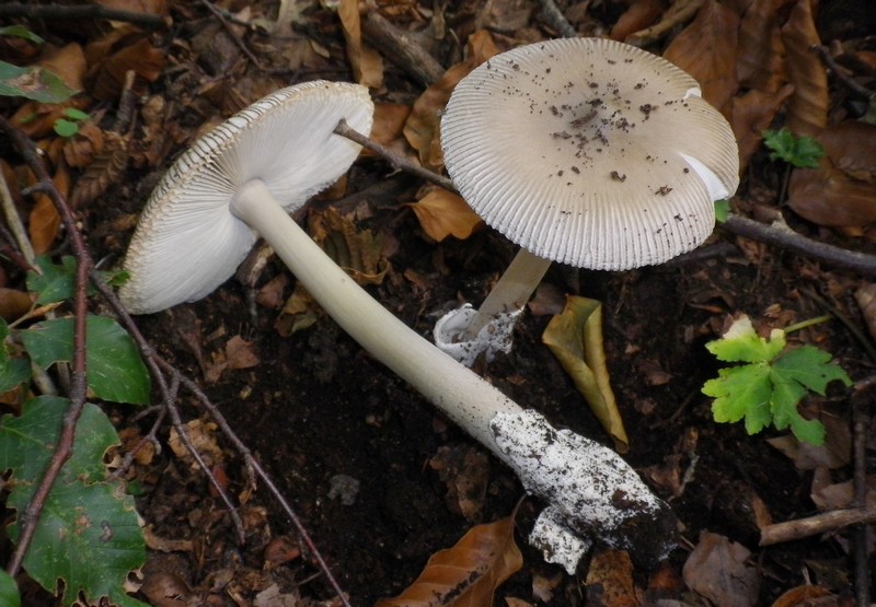 Una mattinata al San Vicino