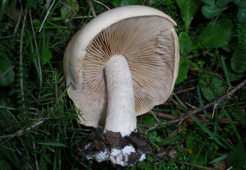 Una mattinata al San Vicino