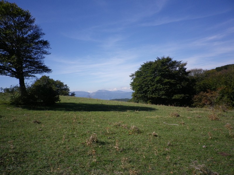 Una mattinata al San Vicino