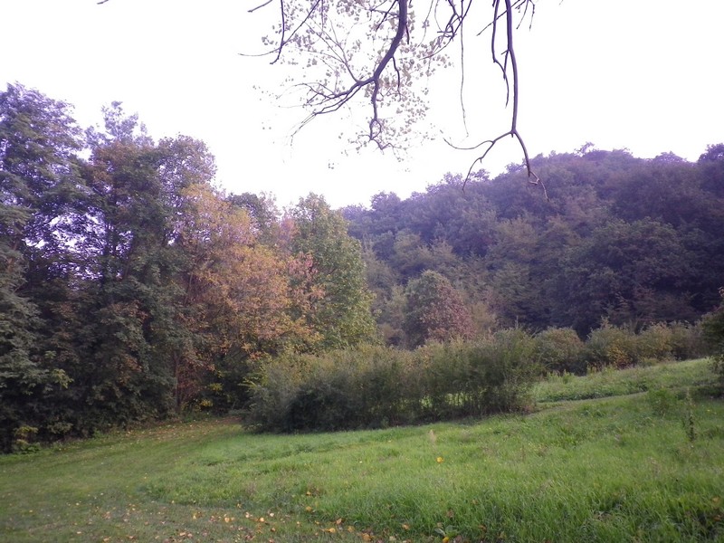 La Selva di Gallignano