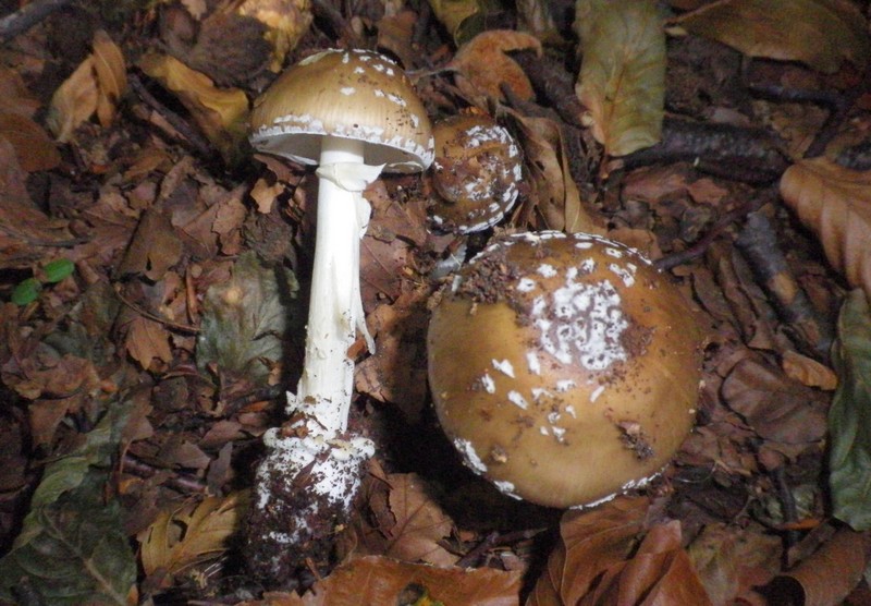 Una mattinata al San Vicino