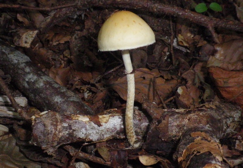 Una mattinata al San Vicino