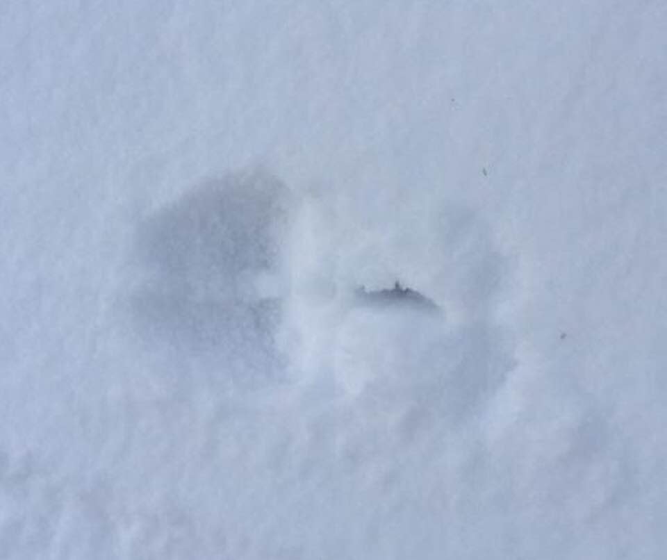 identificazione tracce