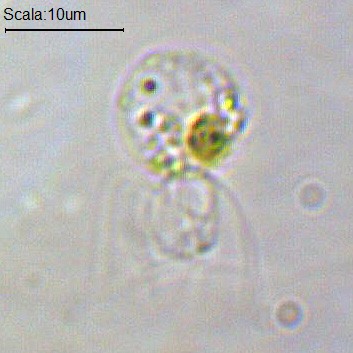 Ancora degli sconosciuti