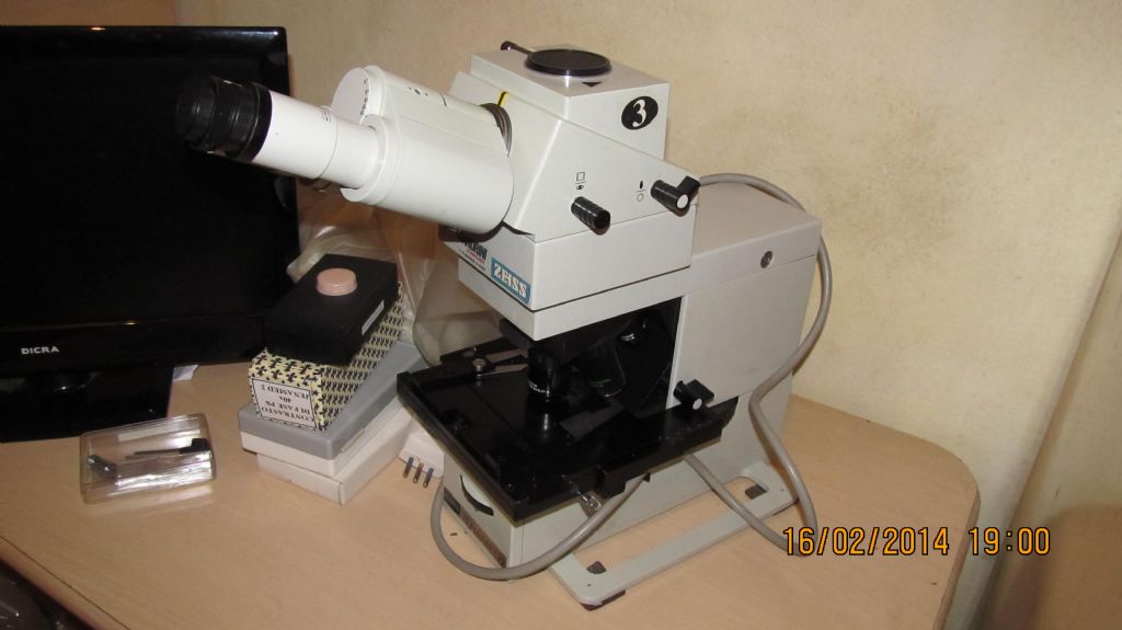 mi presento e prime info