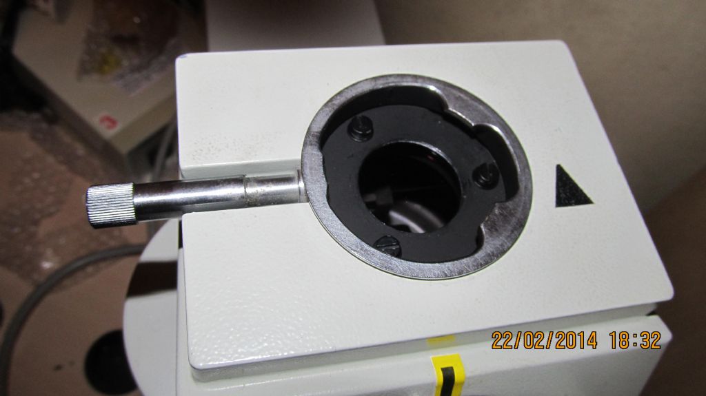 mi presento e prime info