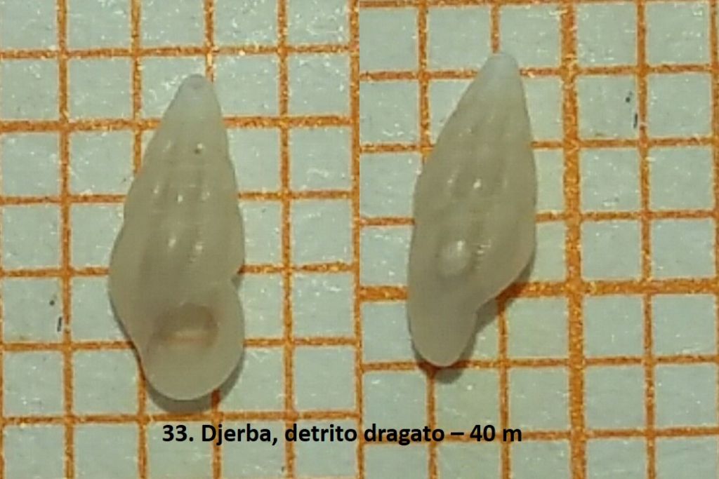 Detrito da Djerba