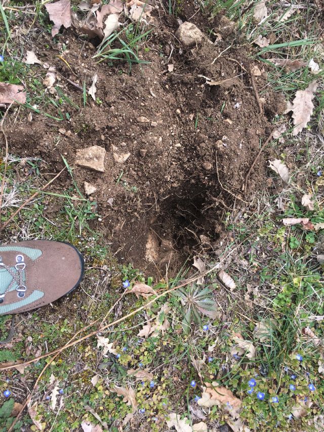 Buche nel terreno , Natura Mediterraneo