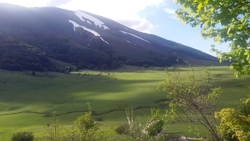 Una giornata tra le orchidee da Villetta Barrea a Scanno - 16 giugno 2021