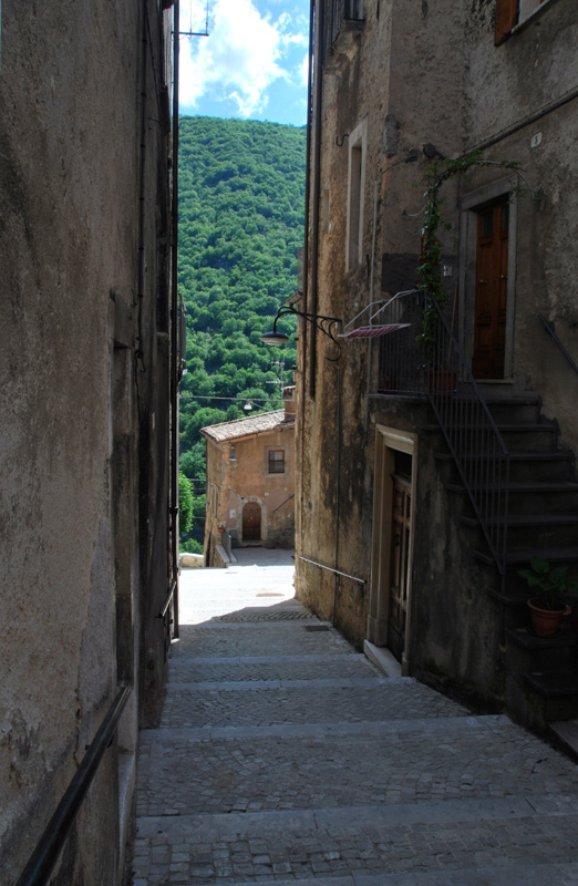 Una giornata tra le orchidee da Villetta Barrea a Scanno - 16 giugno 2021