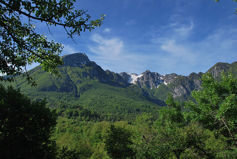 Una giornata tra le orchidee da Villetta Barrea a Scanno - 16 giugno 2021