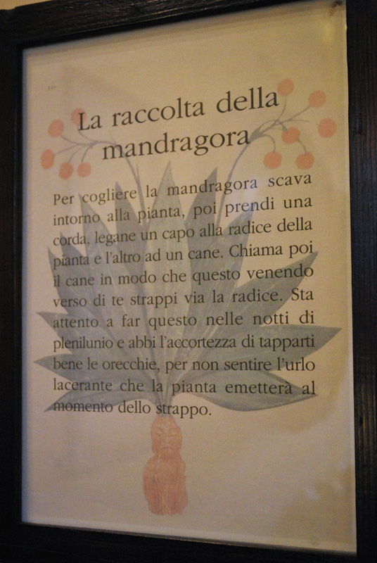 Quiz internazionale