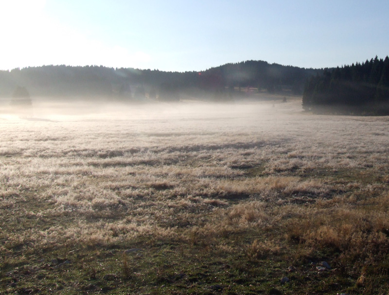 Mattina di settembre a Millegrobbe