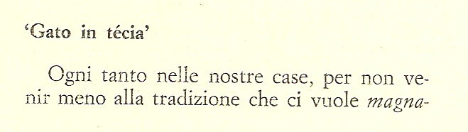 Quiz internazionale