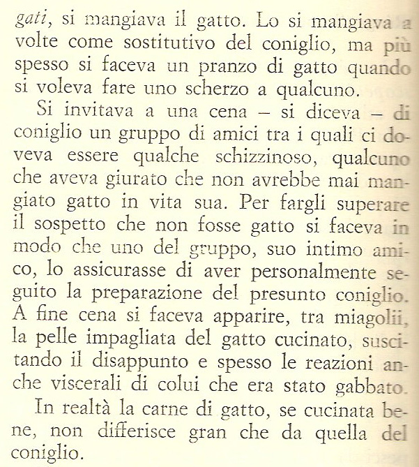 Quiz internazionale