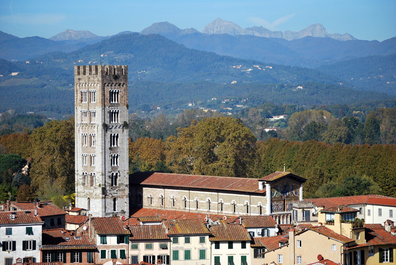 Quiz internazionale