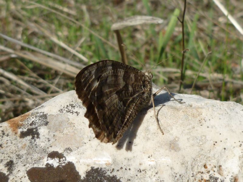 id