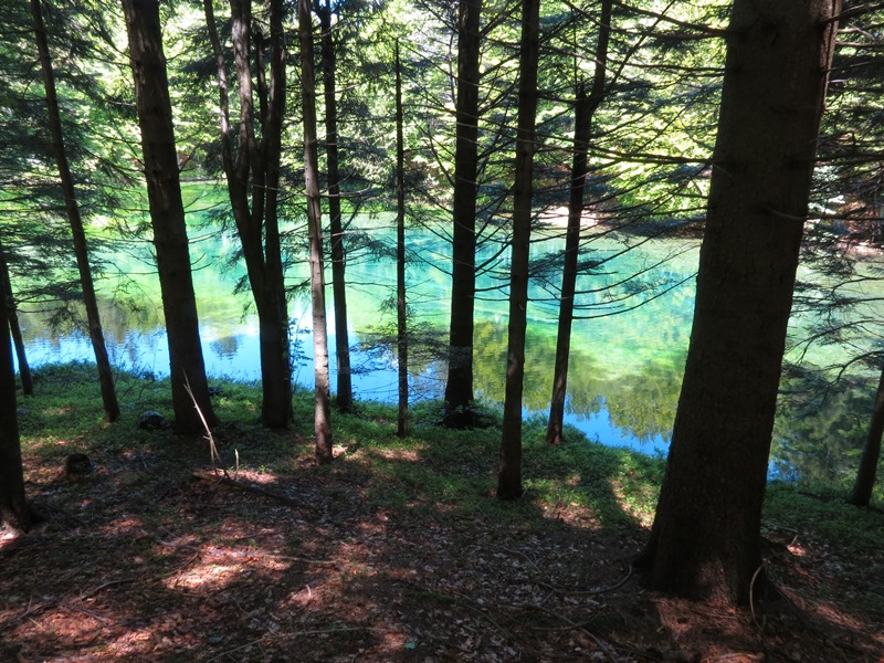 Riserva Naturale Orientata Agoraie di Sopra  Moggetto