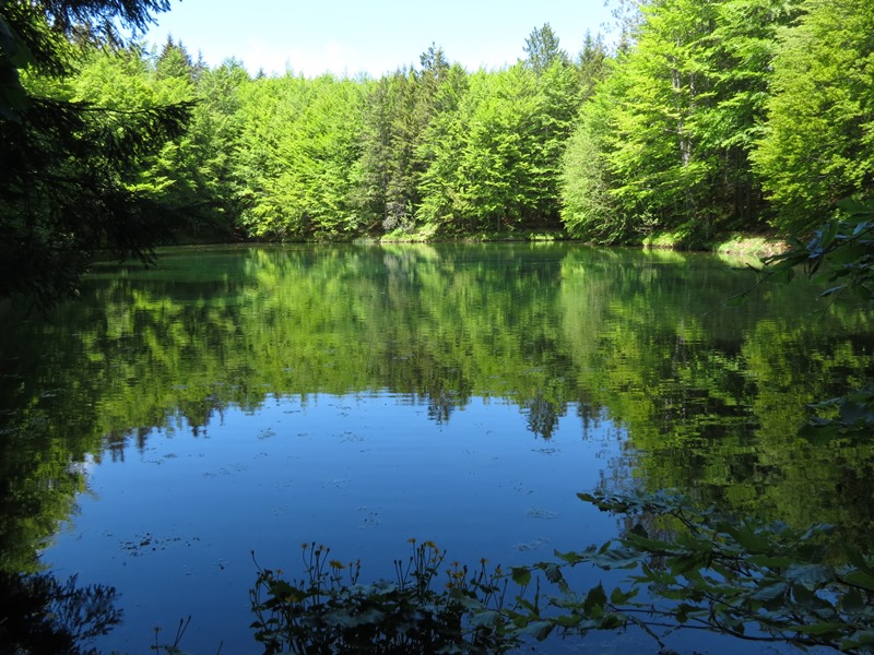 Riserva Naturale Orientata Agoraie di Sopra  Moggetto