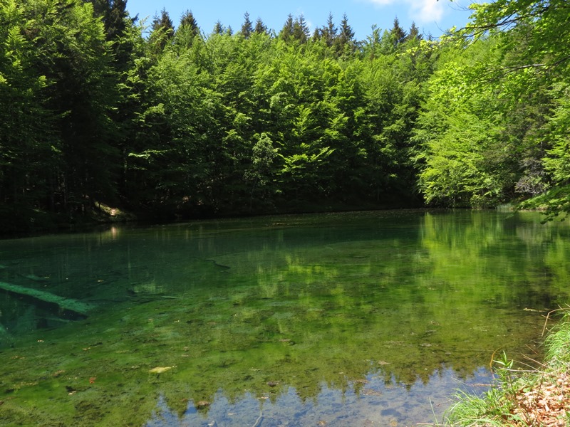 Riserva Naturale Orientata Agoraie di Sopra  Moggetto