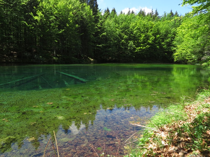 Riserva Naturale Orientata Agoraie di Sopra  Moggetto