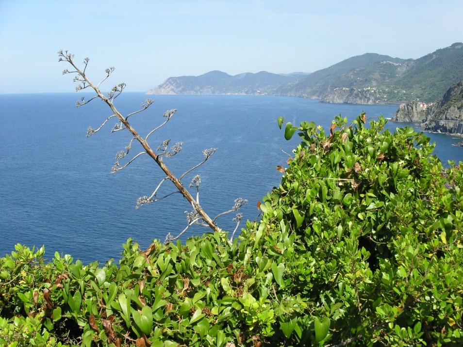 I migliori punti panoramici vista mare nel levante ligure