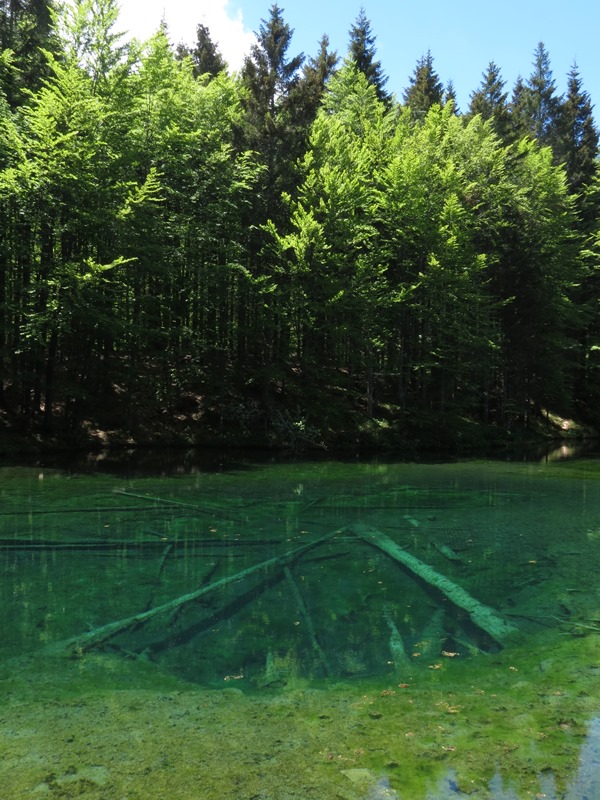 Riserva Naturale Orientata Agoraie di Sopra  Moggetto