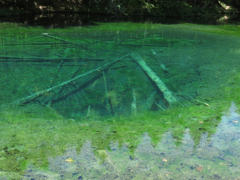 Riserva Naturale Orientata Agoraie di Sopra  Moggetto