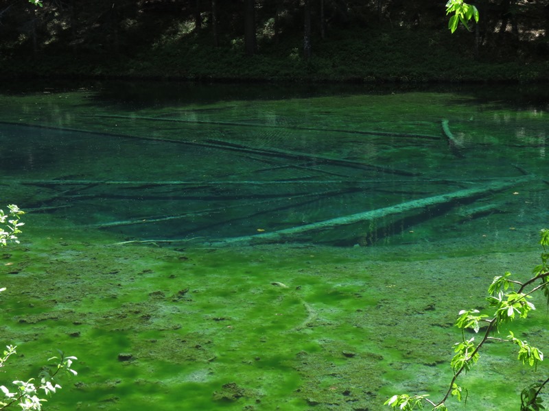 Riserva Naturale Orientata Agoraie di Sopra  Moggetto