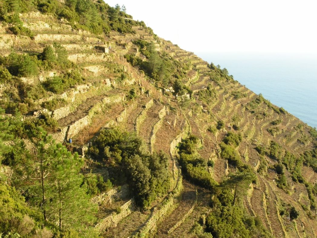 I migliori punti panoramici vista mare nel levante ligure