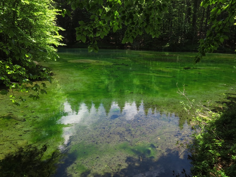 Riserva Naturale Orientata Agoraie di Sopra  Moggetto