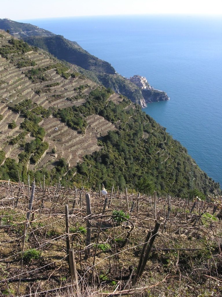 I migliori punti panoramici vista mare nel levante ligure