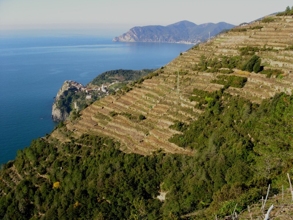 I migliori punti panoramici vista mare nel levante ligure