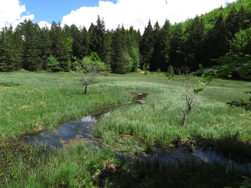 Riserva Naturale Orientata Agoraie di Sopra  Moggetto