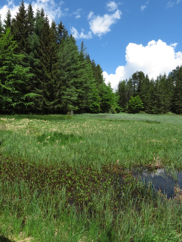 Riserva Naturale Orientata Agoraie di Sopra  Moggetto